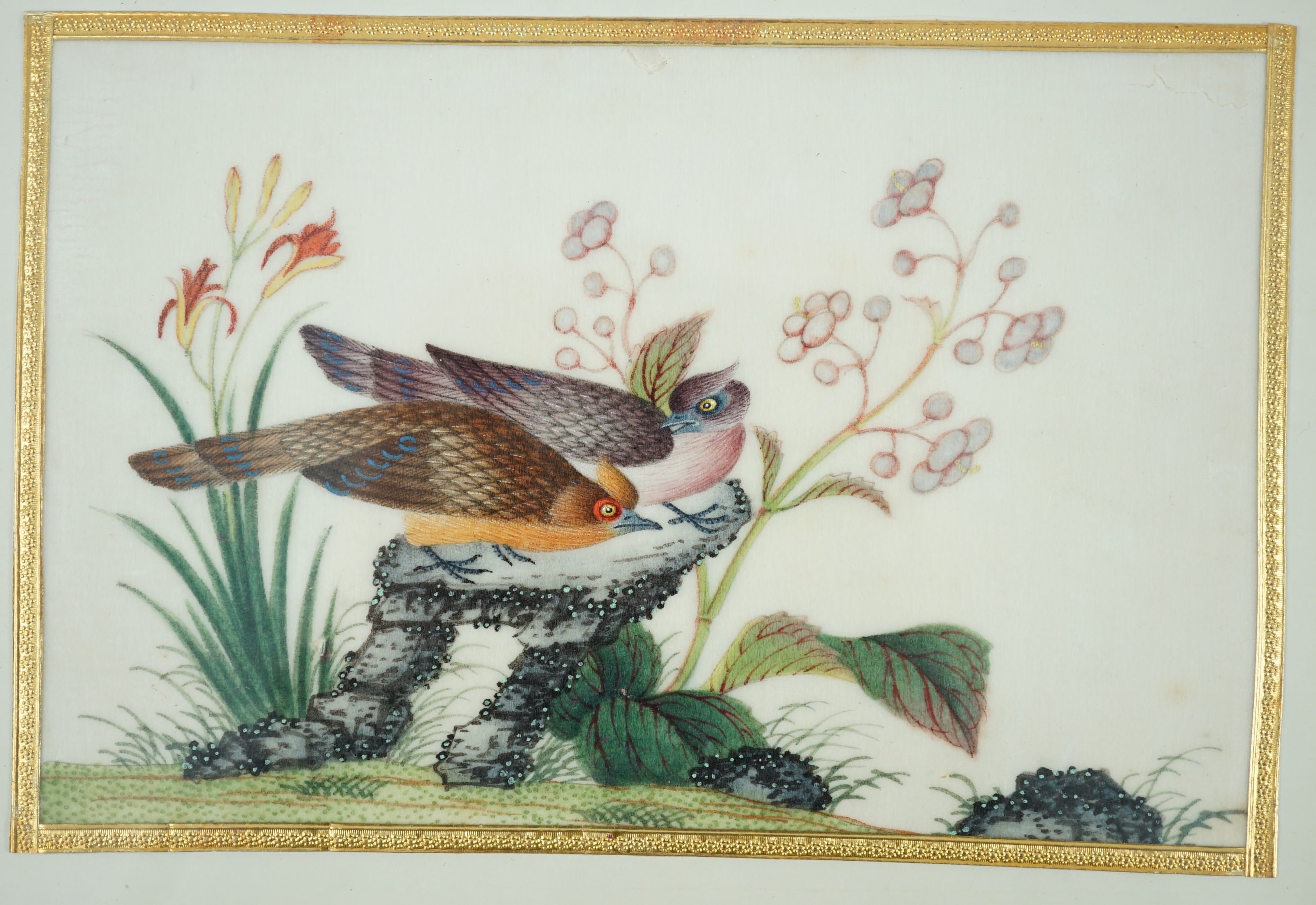 A set of 16 Chinese pith paintings of birds and flowers, mid 19th century, Largest Image 12cm x 18cm